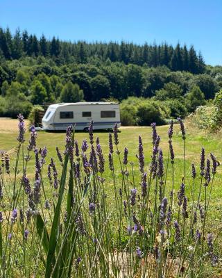 Natuurcamping Guillerin