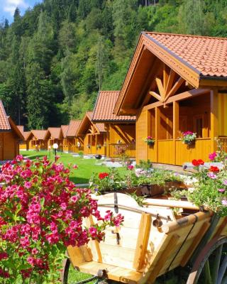 Chaletdorf ZellerSee