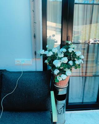 happy home