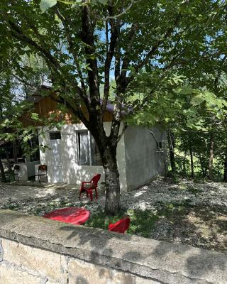 Martvili Canyon Cottage in the Forest
