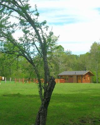 Cabañas Valle del Río