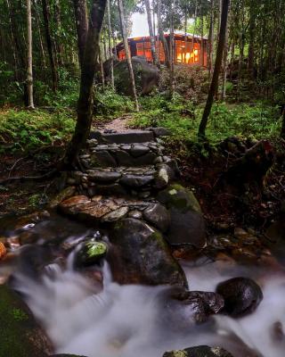 Daintree Cascades