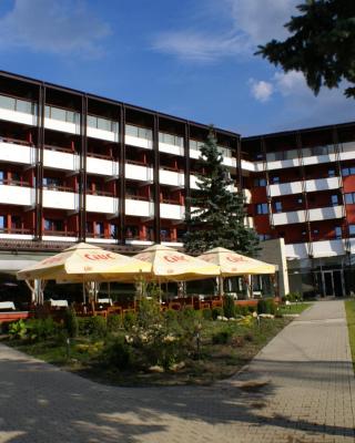 Hotel Carpați