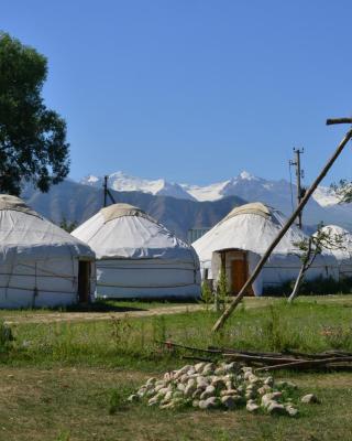 Jurten Camp Almaluu