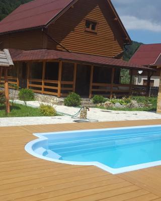 Guest House in Carpathians