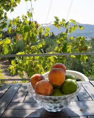 Panormos,Irene's studios