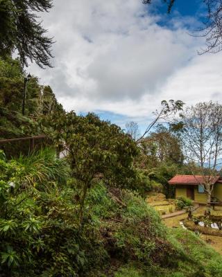 Paraíso Quetzal Lodge