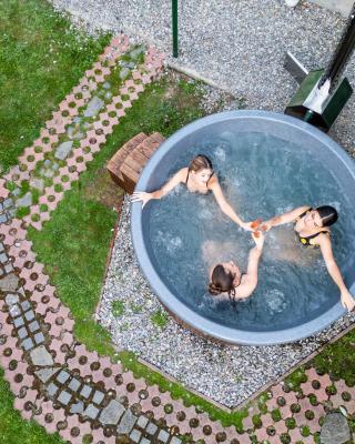 Pensiunea Dapa Ciubar & Sauna