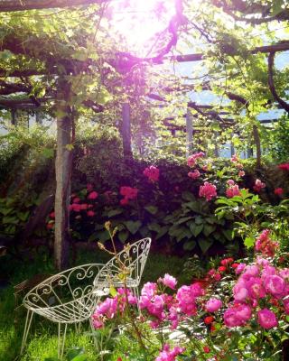 Bed & Breakfast Uvablu
