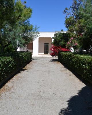 Villa Cino