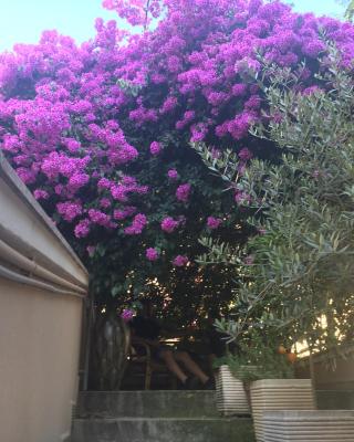 B&B La Bougainvillea