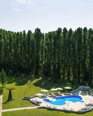 ibis Styles Milano Est Settala