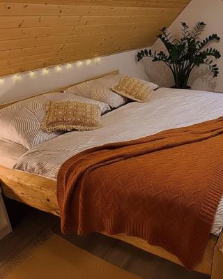 Apartmán u Ještěrky s finskou saunou