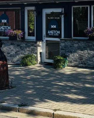 Aneton Garni Hotel