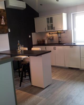 Apartment Diminic Melin