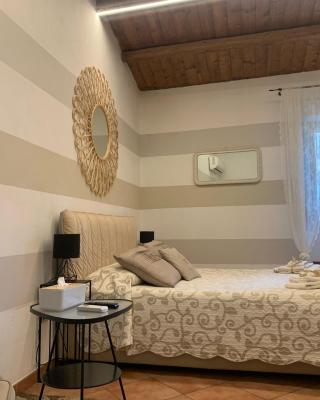 B&B Vinci