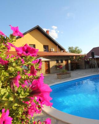 Guest House Vila Alexandar