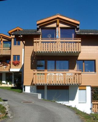 Haus Alpsägu, Bettmeralp