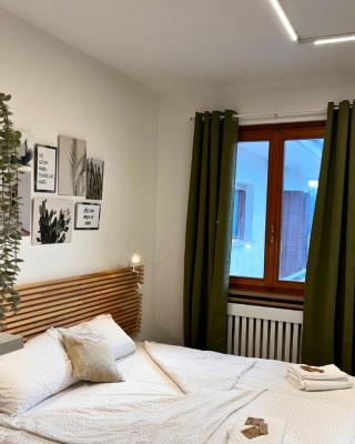 All'antico ulivo Affittacamere