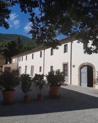 Agriturismo Il Frantoio Di Colle Alberto