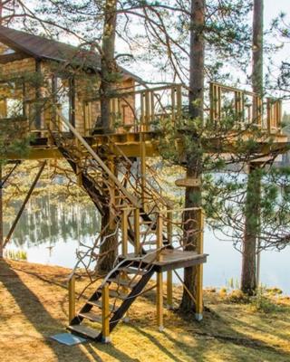 Treehouse Čiekurs