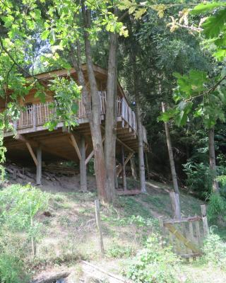 La Cabane aux Sapins