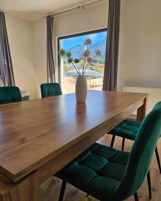 Panoramic Chalet Bran