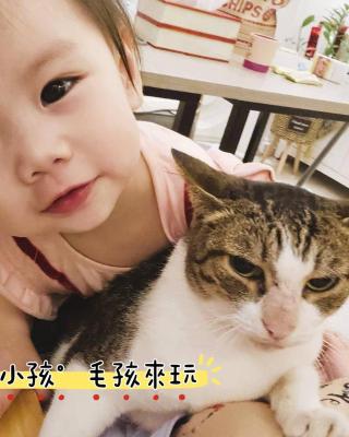 咩咩不是羊民宿Mieh's Inn 花蓮市區 電梯 寵物友善民宿