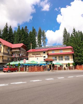 Motel Cotul Donului