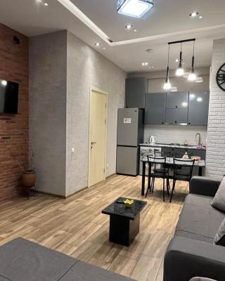 Rustaveli Modern Apartment Center of Tbilisi
