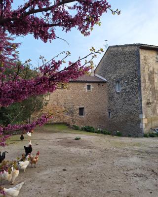 La Maison du Moulin de Tartay