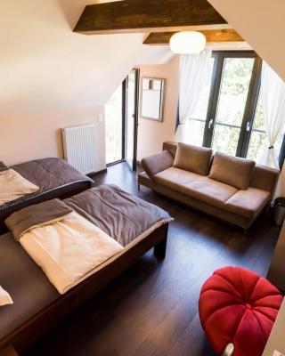 BnB Comfort Guesthouse Olten - Lostorf