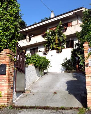 Casa del Cedro