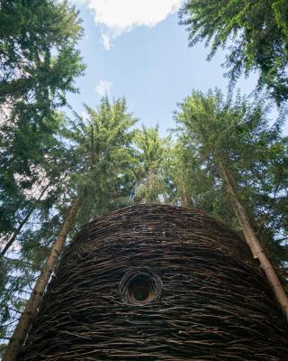 Cabane entre terre et ciel