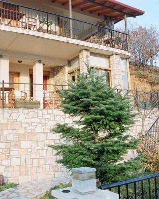 Guesthouse Irida