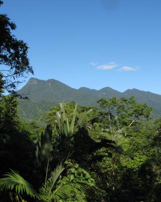 Mossman Gorge Bed and Breakfast