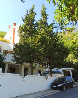 Villa Budvanka Guesthouse
