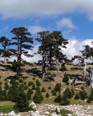 "CUORE DEL POLLINO" Locazione turistica