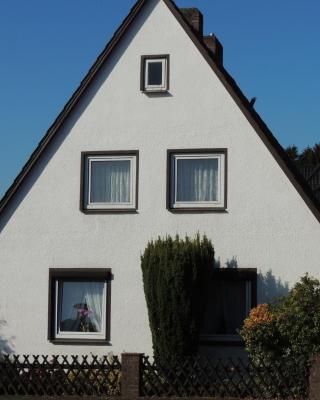 Ferienhaus Snevern