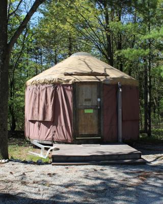 Tranquil Timbers Yurt 3