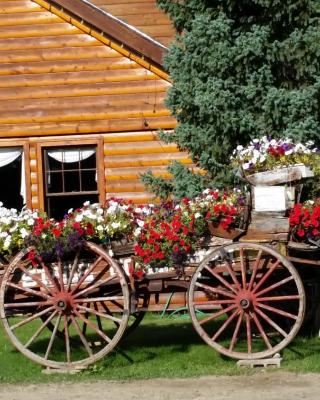 Daven Haven Lodge & Cabins