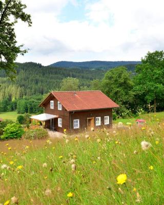 Chalet in Bavarian Forest near Ski Slopes