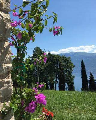 Agriturismo Casa del Castagneto