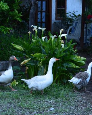 Alojamiento Rural Casa Quinta Peumayen