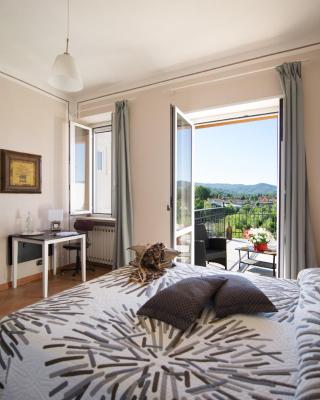 B&B Borgo Cortese