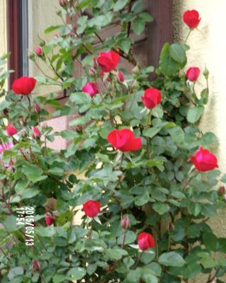 Chambres D'hotes Du Vignoble