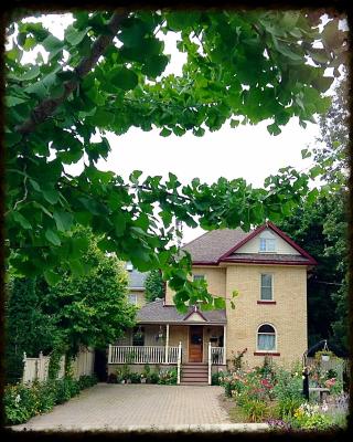 Tranquil Days Guest House ---- Arbour Garden