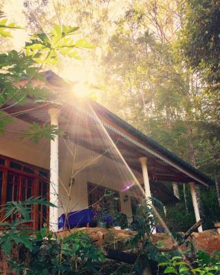 Secret Nest Homestay