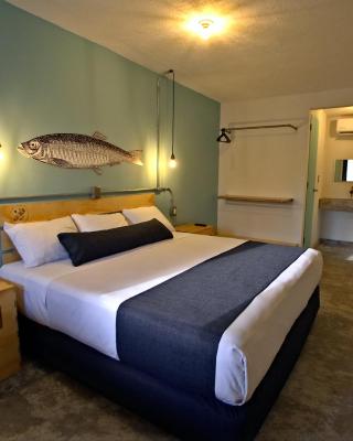 Mas Basico Hotel