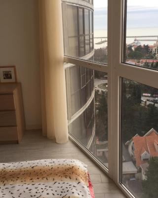 Appartment on Voykova 27